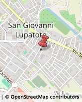 Case di Riposo e Istituti di Ricovero per Anziani San Giovanni Lupatoto,37057Verona