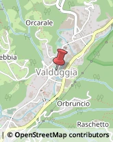 Oculisti - Medici Specialisti Valduggia,13018Vercelli