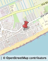 Agrumi Jesolo,30016Venezia