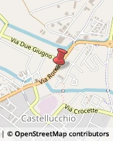 Frutta e Verdura - Dettaglio Castellucchio,46014Mantova