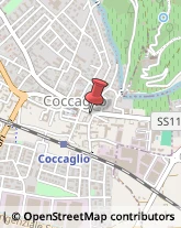 Metalli e Leghe Coccaglio,25030Brescia