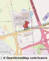 ,46030Mantova