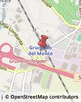 Dispositivi di Sicurezza e Allarme Grumello del Monte,24064Bergamo