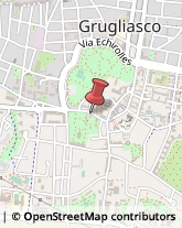Teatri Grugliasco,10095Torino