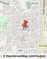 Alimentari Cilavegna,27024Pavia