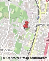 Autotrasporti Cavaria con Premezzo,21044Varese
