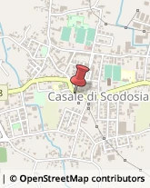 Bar e Caffetterie Casale di Scodosia,35040Padova