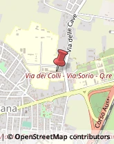 Scuole Pubbliche Padova,35136Padova