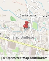 Bulbi e Sementi Vigliano Biellese,13856Biella