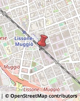 Ricerca e Selezione del Personale Lissone,20851Monza e Brianza