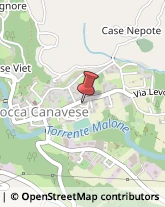 Piante e Fiori - Dettaglio Rocca Canavese,10070Torino