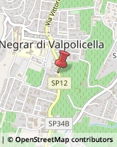 Ricerca Scientifica - Istituti Negrar di Valpolicella,37024Verona