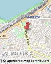 Trasporto Pubblico,46100Mantova