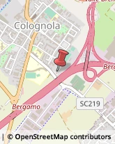 Agenti e Rappresentanti di Commercio Bergamo,24126Bergamo