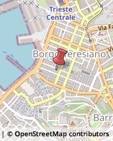 Traduttori ed Interpreti Trieste,34121Trieste