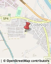 Scuole Materne Private Codevigo,35020Padova