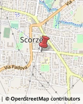 Assicurazioni Scorzè,30037Venezia