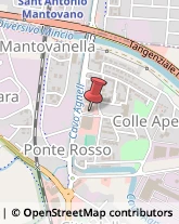 ,46100Mantova