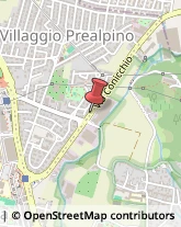 Porcellane - Dettaglio Brescia,25136Brescia