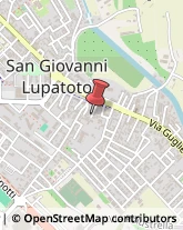 Scuole Pubbliche San Giovanni Lupatoto,37057Verona