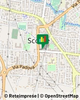 Borse - Dettaglio Scorzè,30037Venezia