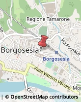 Consulenza alle Imprese e agli Enti Pubblici Borgosesia,13011Vercelli