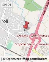 Autotrasporti Gropello Cairoli,27027Pavia