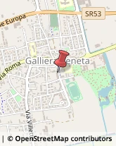 Alimentari, Vini, Bevande e Dolciari - Agenti e Rappresentanti Galliera Veneta,35015Padova