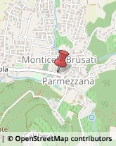 Piante e Fiori - Dettaglio Monticelli Brusati,25040Brescia