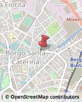 Bar e Caffetterie,24124Bergamo