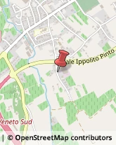 Nastri per Elevatori e Trasportatori Vittorio Veneto,31029Treviso