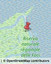 Riserve Naturali e Parchi Marano Lagunare,33050Udine