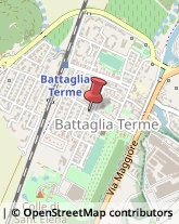 Piante e Fiori - Dettaglio Battaglia Terme,35041Padova