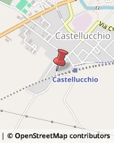 Aziende Agricole Castellucchio,46014Mantova