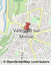 Omeopatia Valeggio sul Mincio,37067Verona