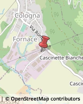 Falegnami Castello di Brianza,23884Lecco