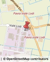Vetrerie - Forniture e Macchine Pavia,27100Pavia