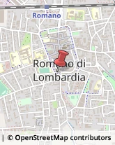 Porcellane - Dettaglio Romano di Lombardia,24058Bergamo