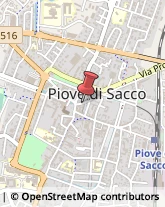 Pesce - Lavorazione e Commercio Piove di Sacco,35028Padova