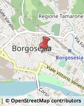 Alimentari Borgosesia,13011Vercelli