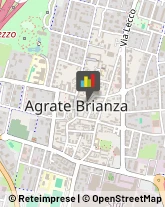 Piante e Fiori - Dettaglio Agrate Brianza,20864Monza e Brianza