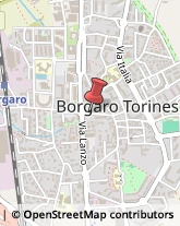 Case di Riposo e Istituti di Ricovero per Anziani Borgaro Torinese,10071Torino