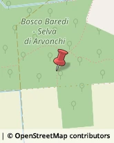 Riserve Naturali e Parchi Muzzana del Turgnano,33055Udine