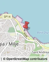 Porti e Servizi Portuali Muggia,34015Trieste