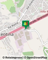 Trasporti Internazionali Altavilla Vicentina,36077Vicenza