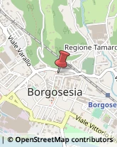 Traduttori ed Interpreti Borgosesia,13011Vercelli