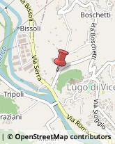 Segatura e Trucioli di Legno Lugo di Vicenza,36030Vicenza