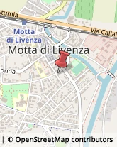 Franchising - Consulenza e Servizi Motta di Livenza,31045Treviso