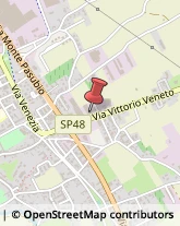 Buying Offices,36034Vicenza