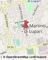 Scuole Materne Private San Martino di Lupari,35018Padova